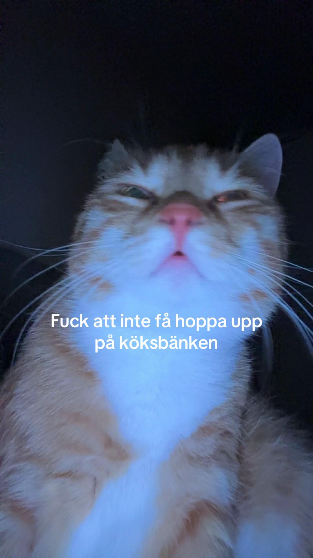@Hanna Myrén