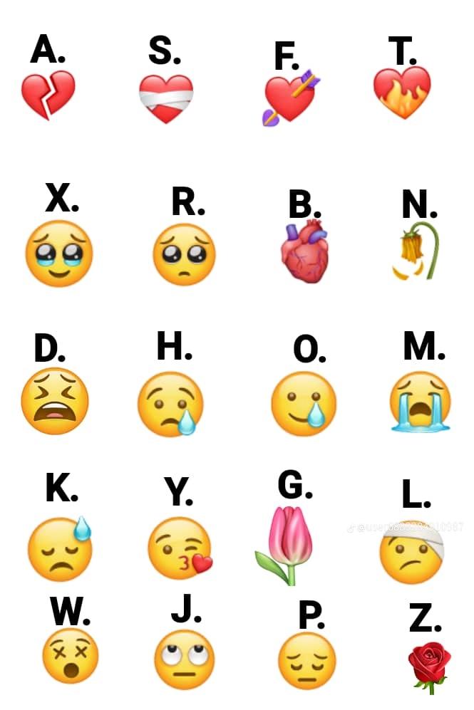 @Šakur oxx SNM Lisa Nela
