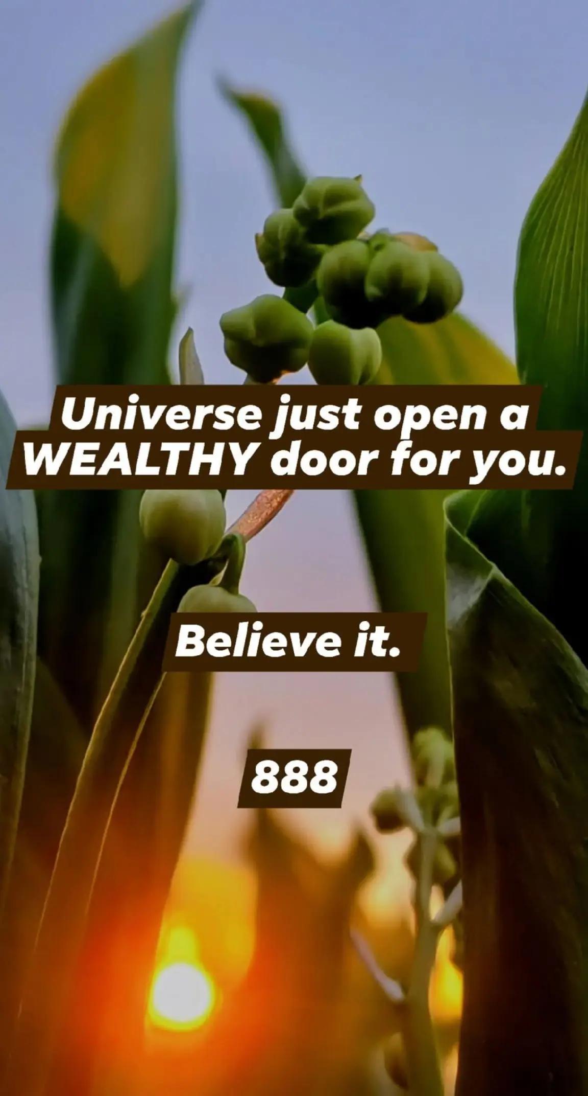 @law of attraction