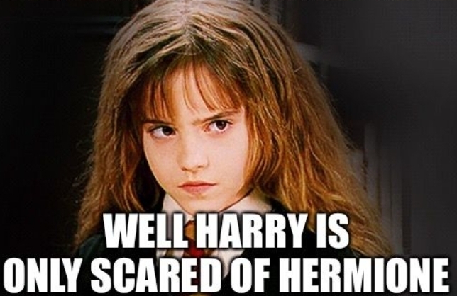 @harrypotterfan8507