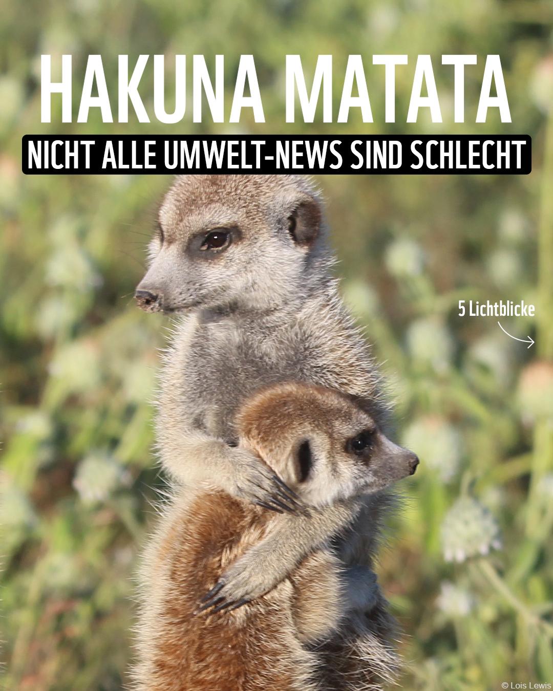 @WWF Schweiz