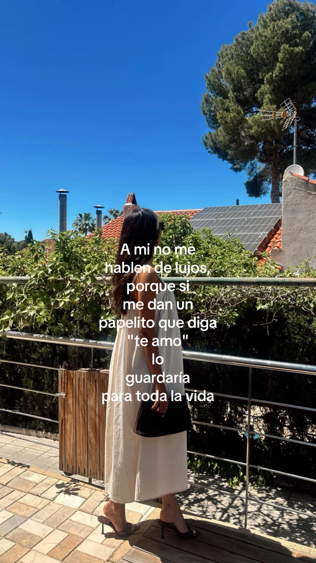 @veronica ruiz