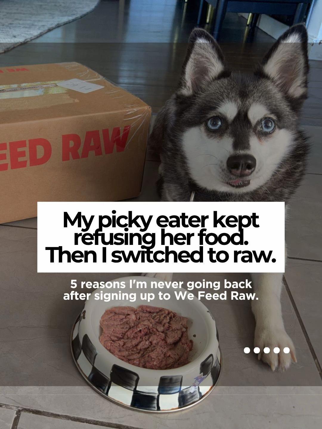 @lifewithkleekai