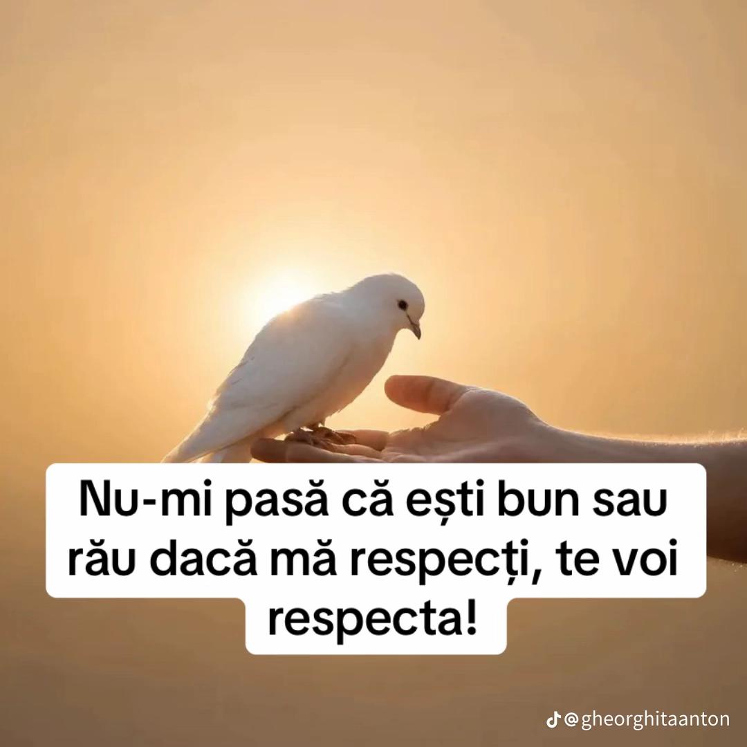 @Gelu Silion