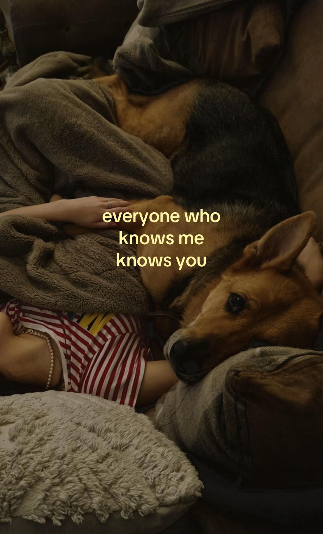 @ashleigh brooke