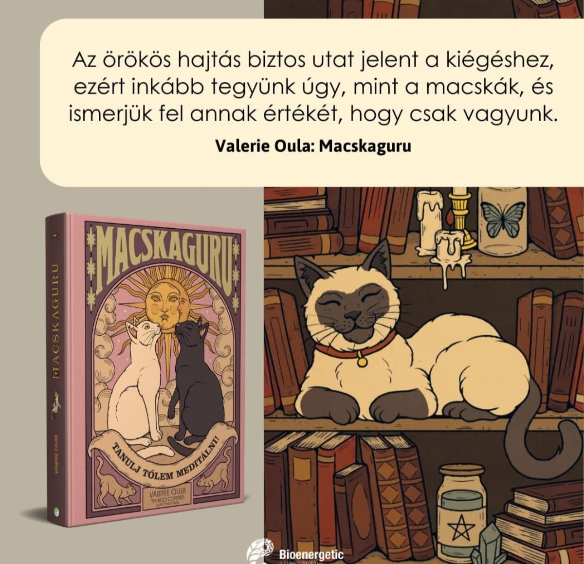 @Kócos