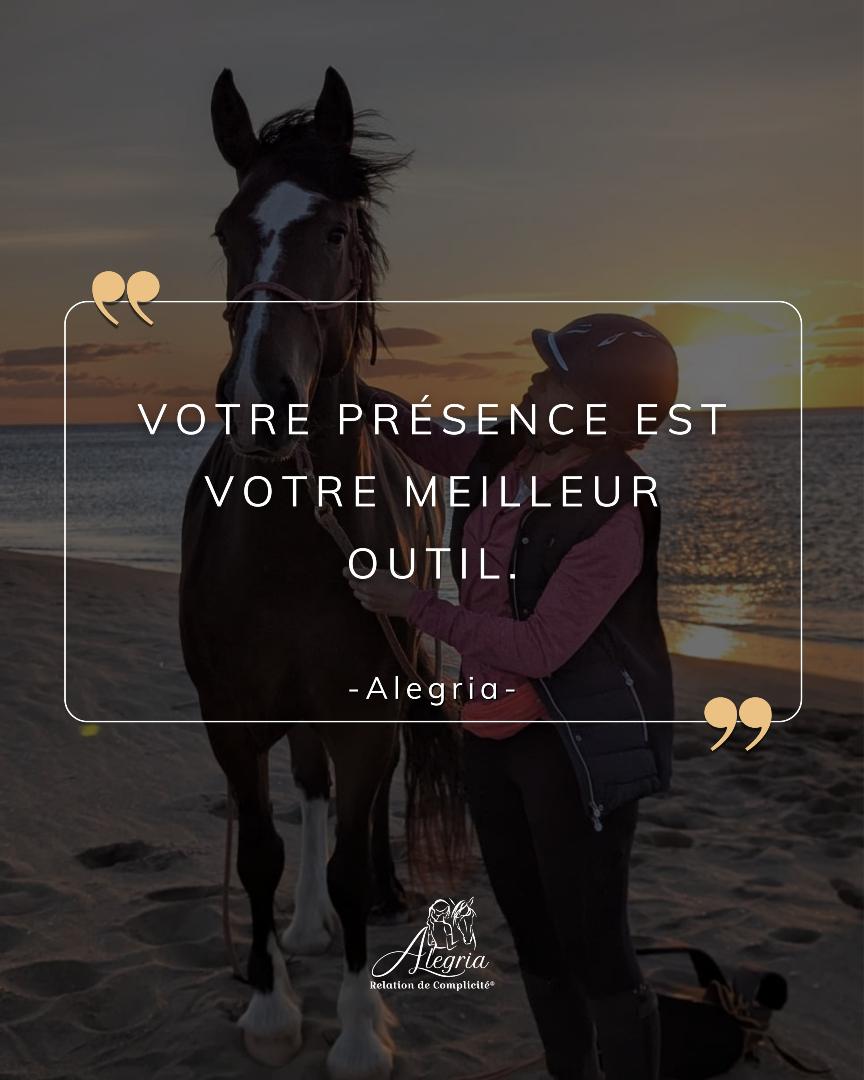 @Alegria Relation de Complicit&eacute;