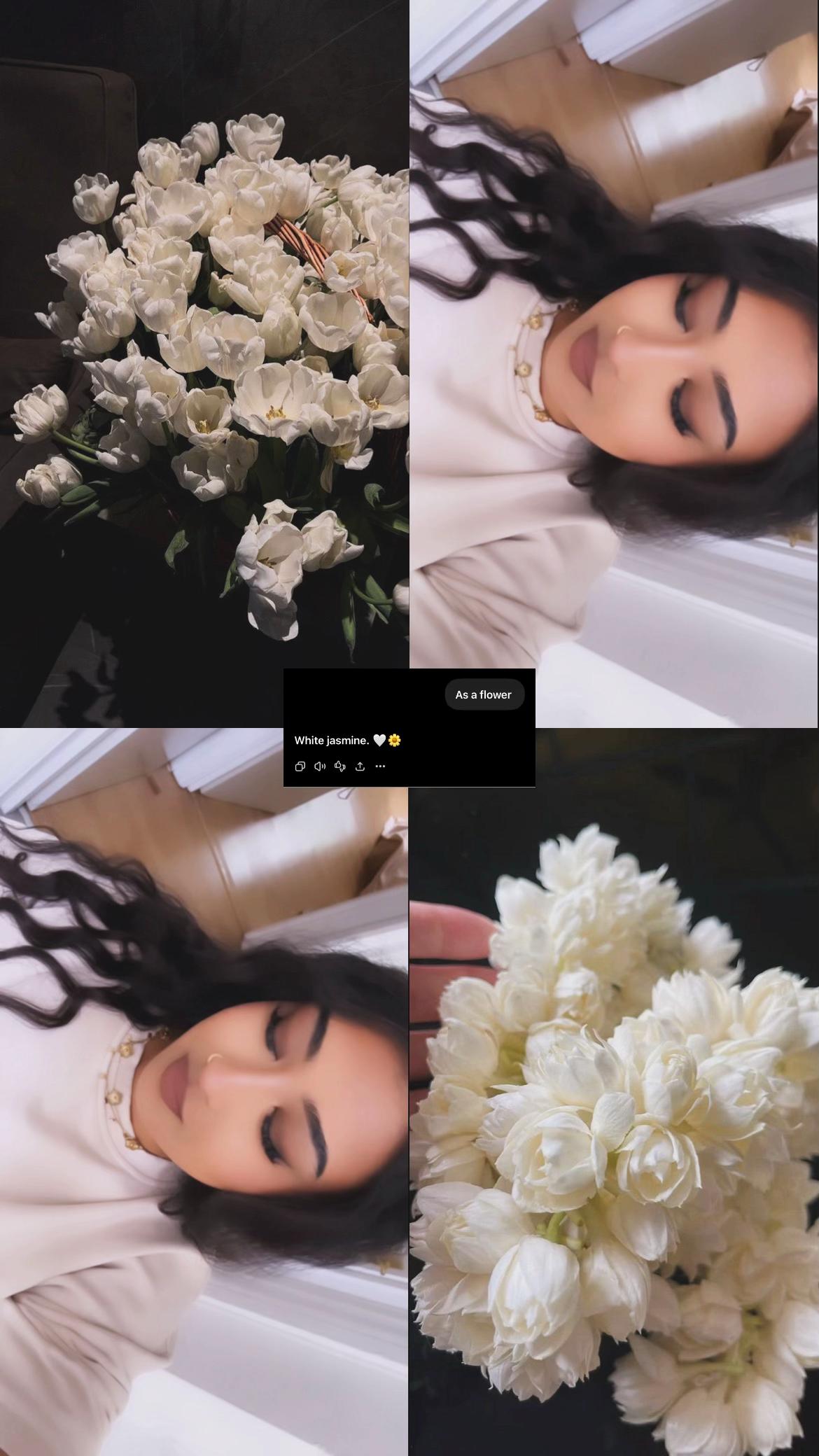 @🌸نبيها