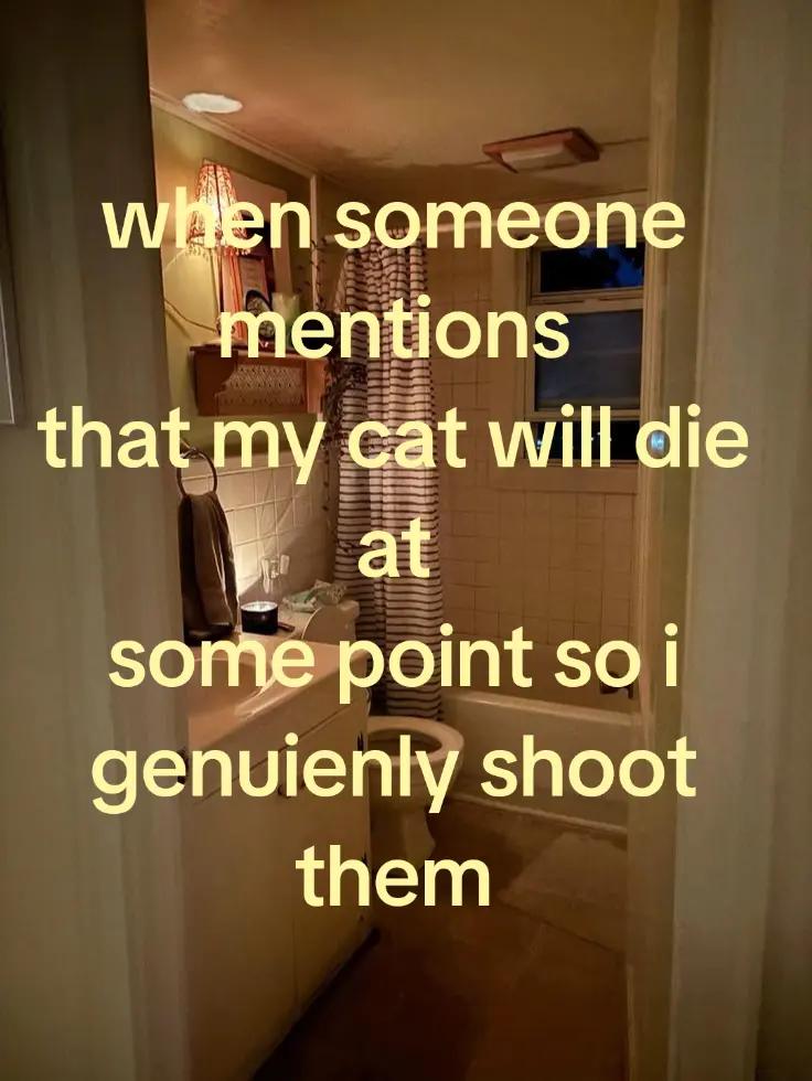 @therealpusheen
