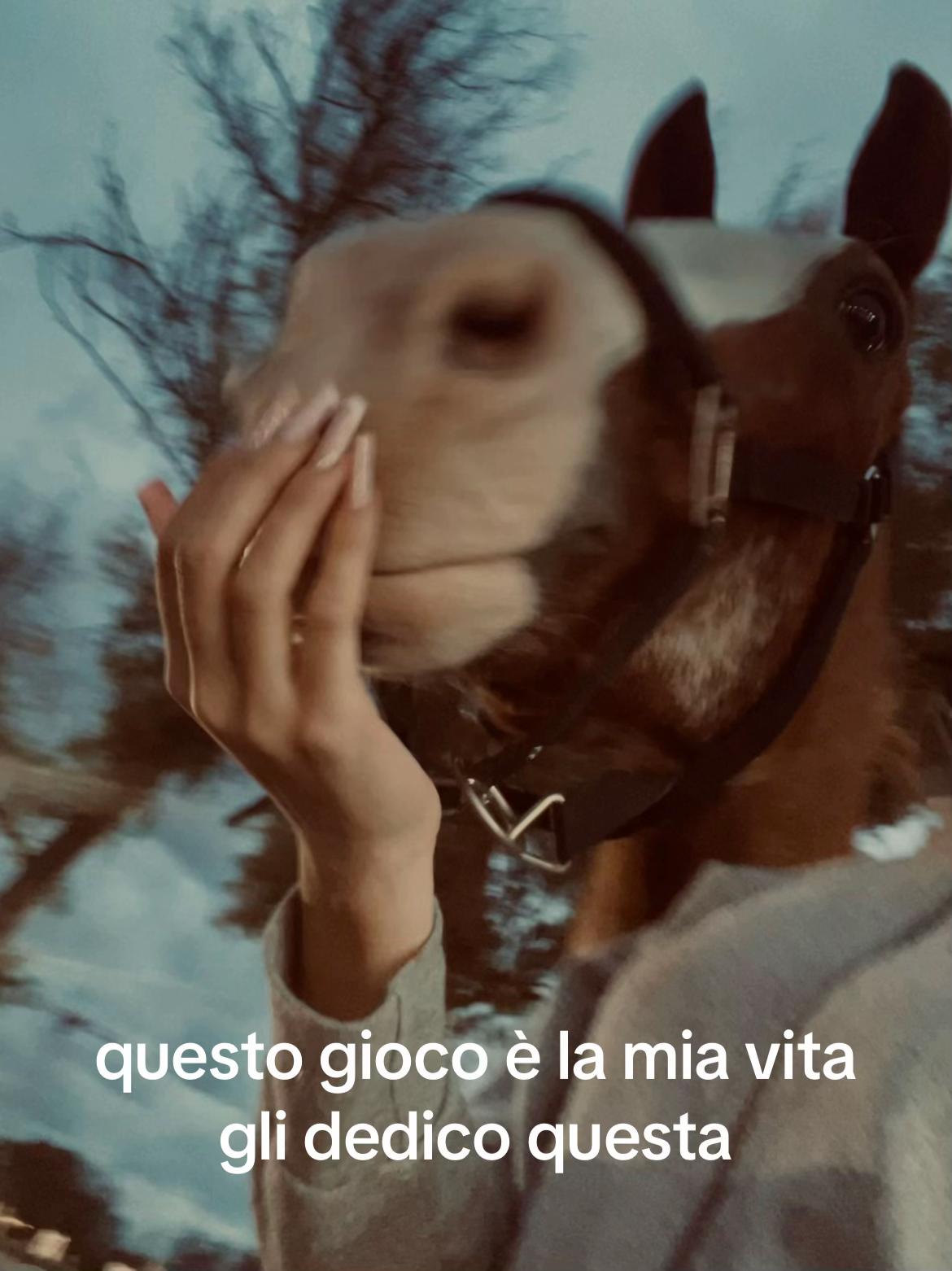 @tinaxdue