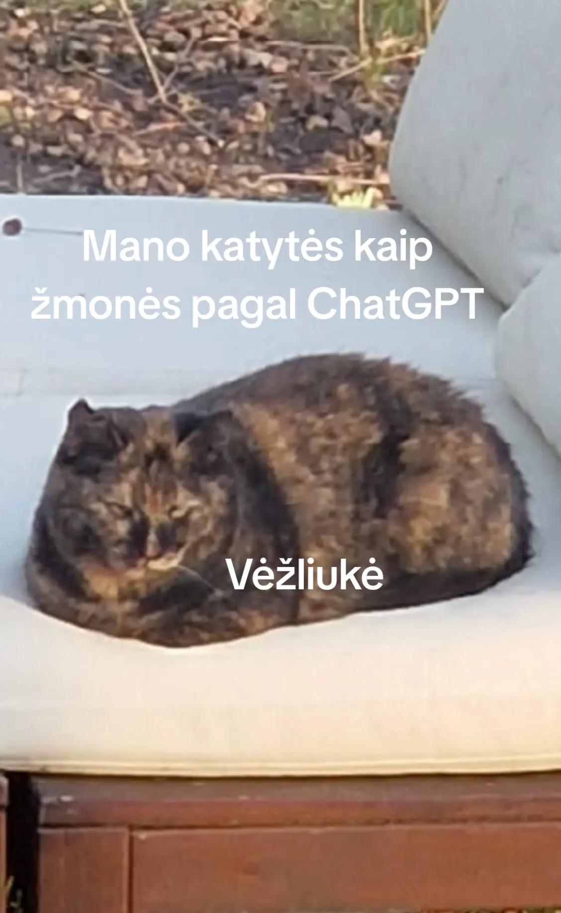 @user7493203509520