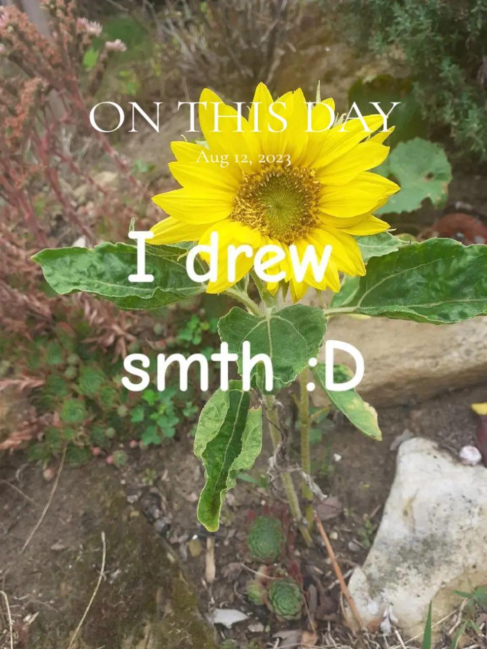 @๐๐๐ ๐ข๐ญ๐จ ๐๐จ๐ฆ๐๐๐๐๐
