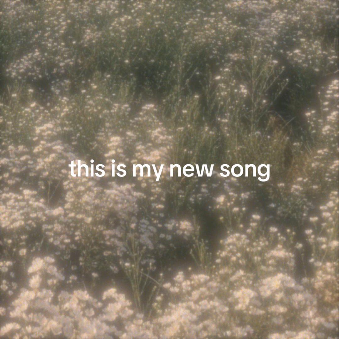 @Maebi