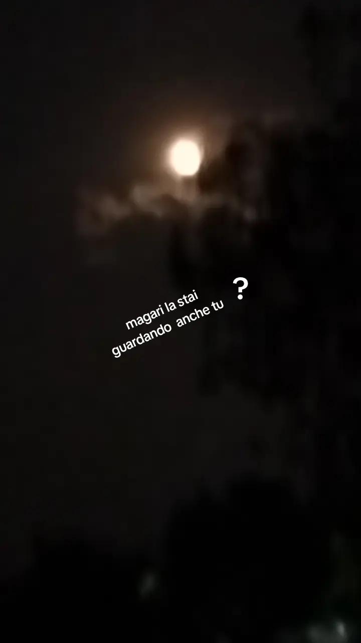 @Elena Marra