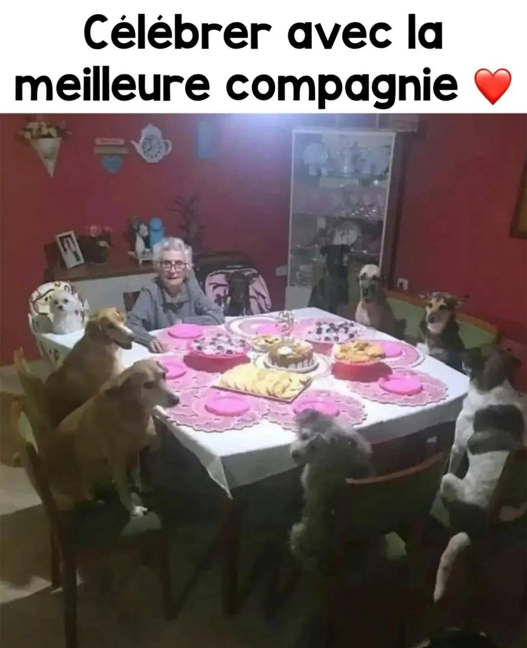 @bernard sarlande