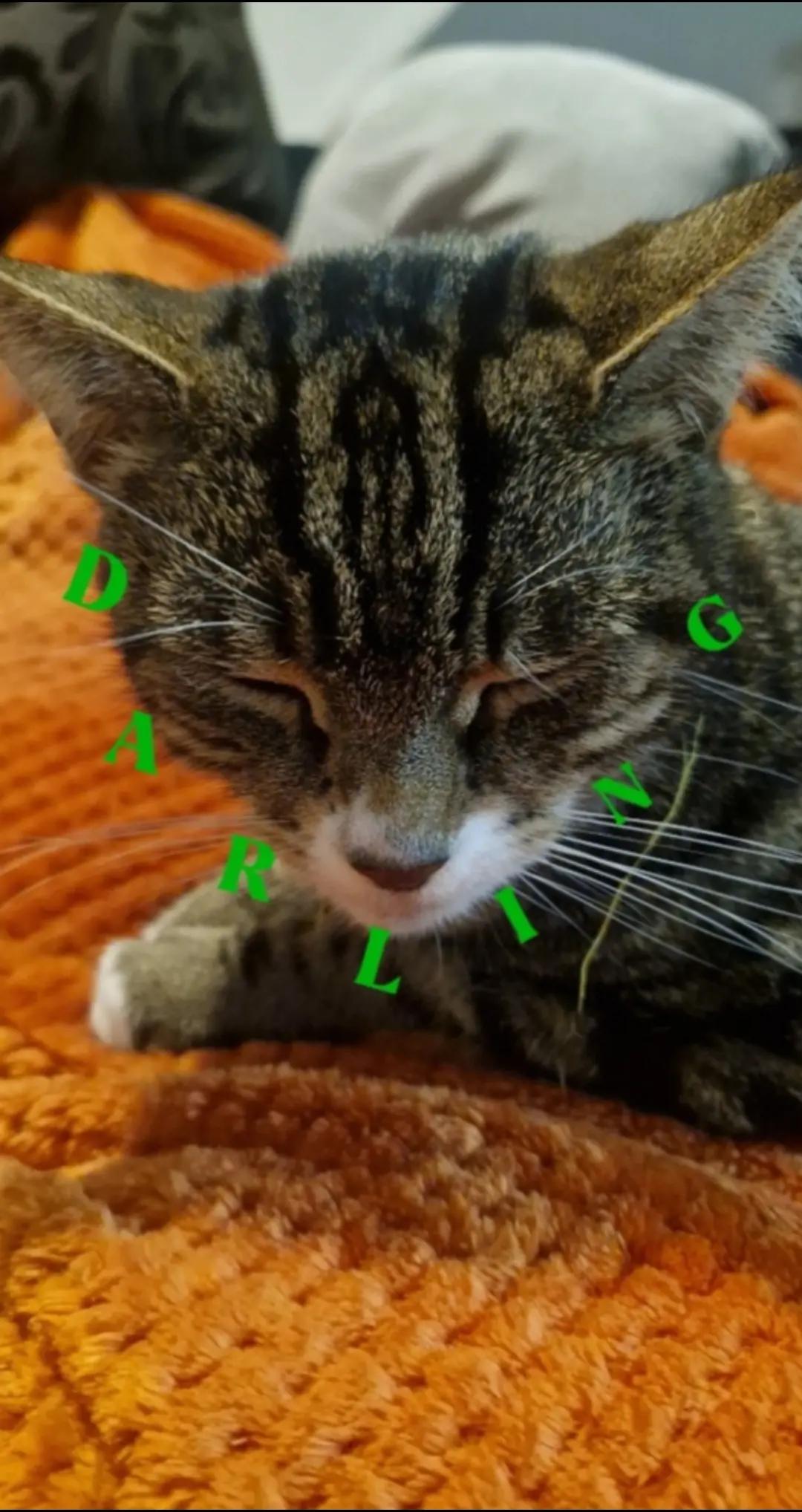 @🫰