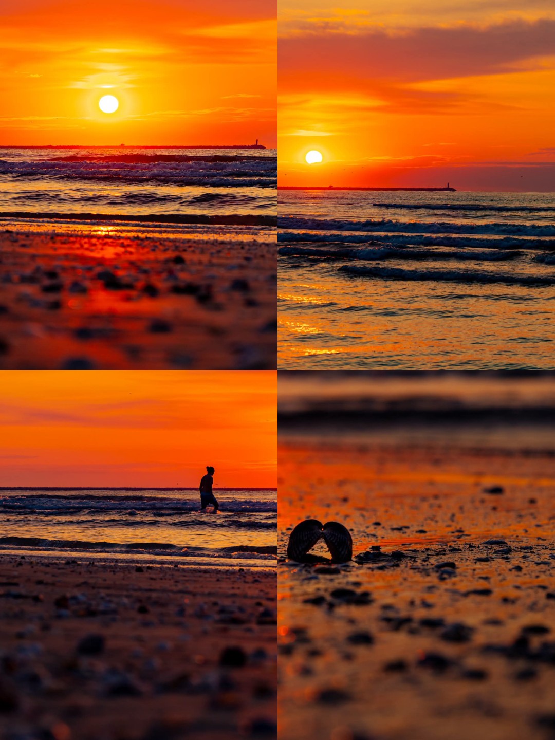 @Fotograf din pasiune 📷