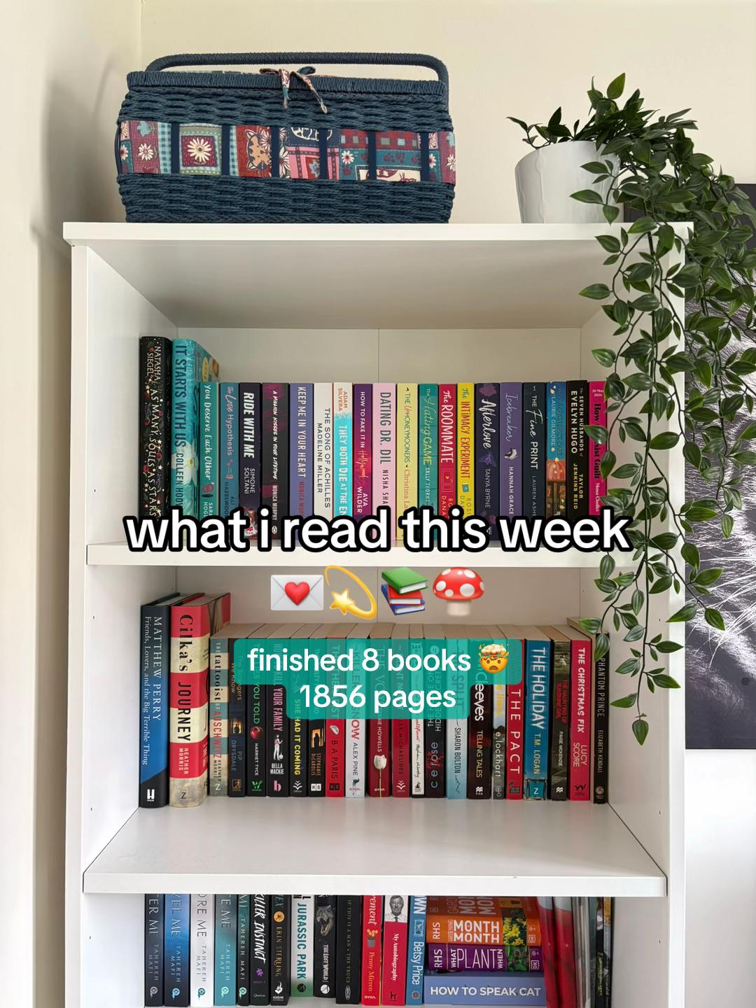 @amyyslibraryx