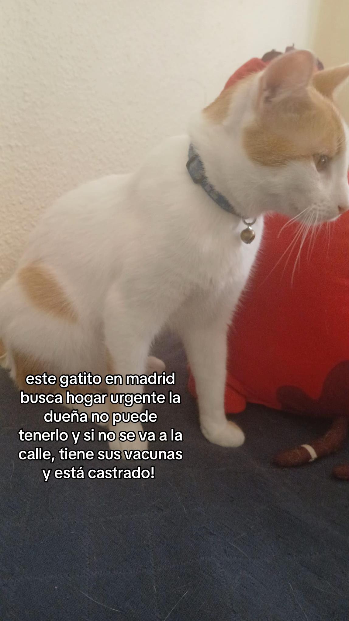 @huellitas por casa