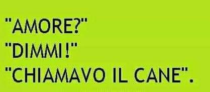@Elena Marra