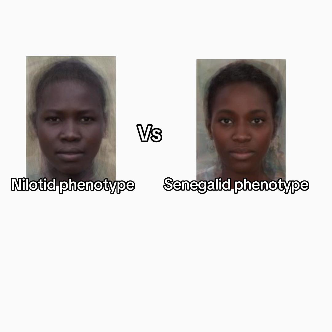 @nigercongolid