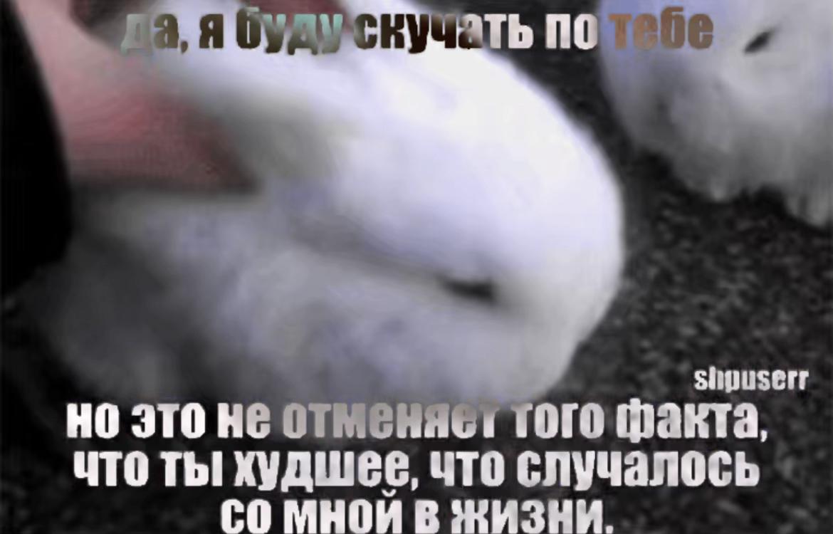 @#wax[щп][🧪]