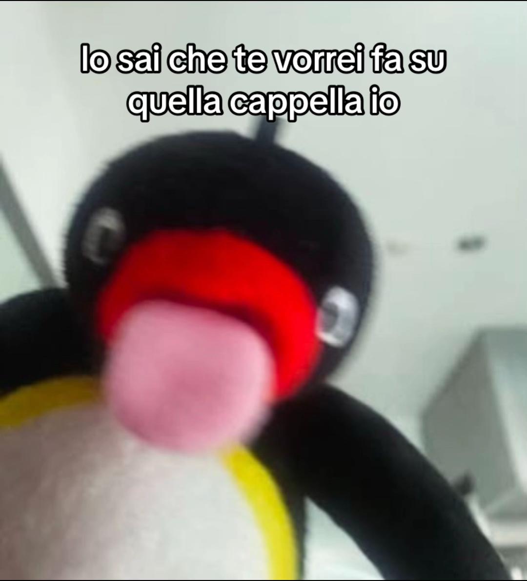 @CMM