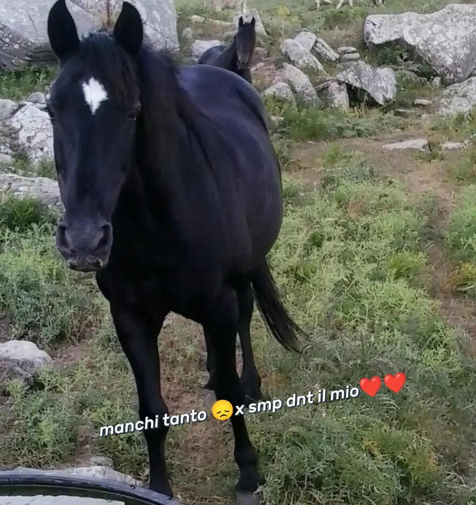 @giusy
