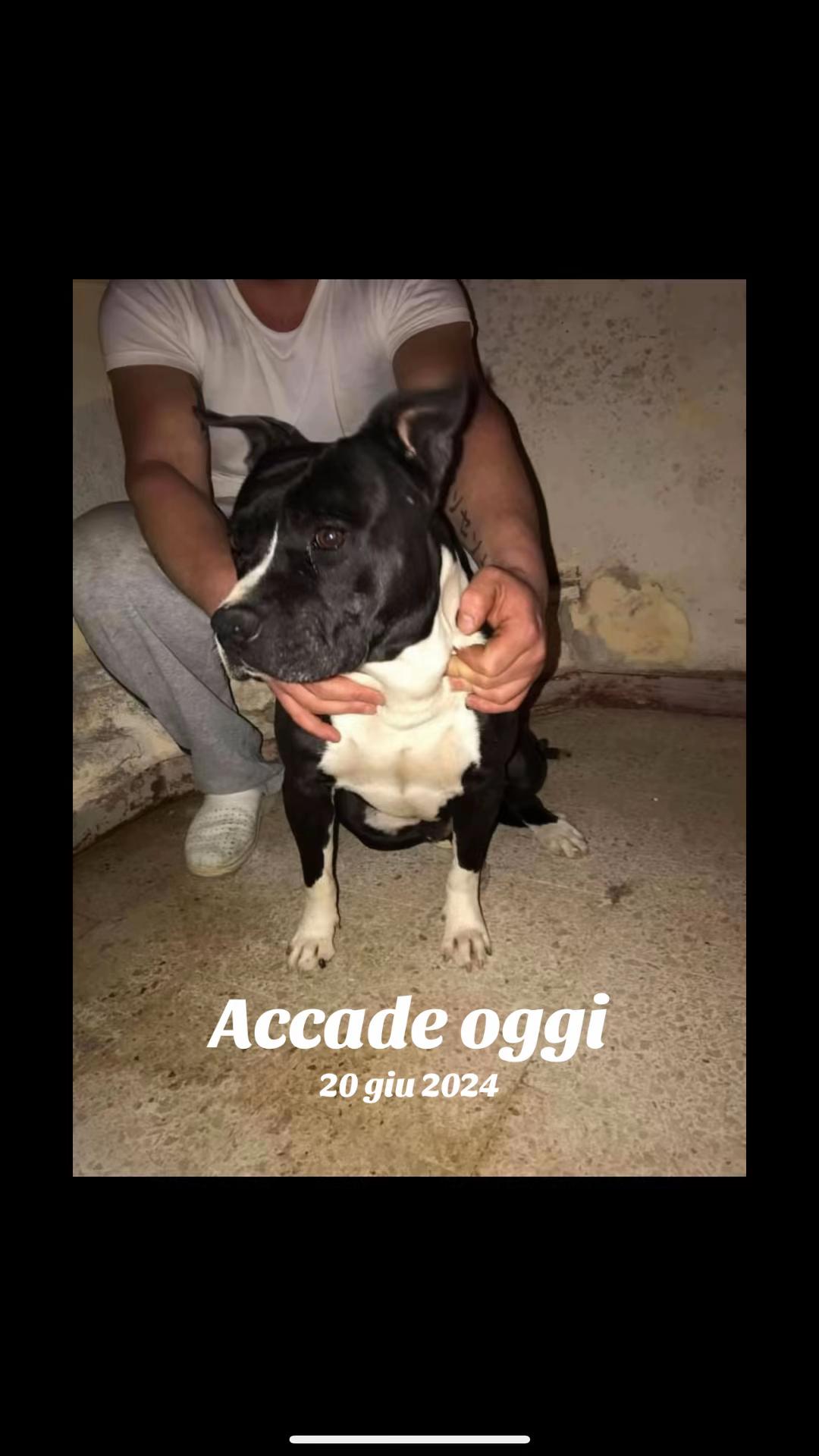 @Vincenzo ❤️