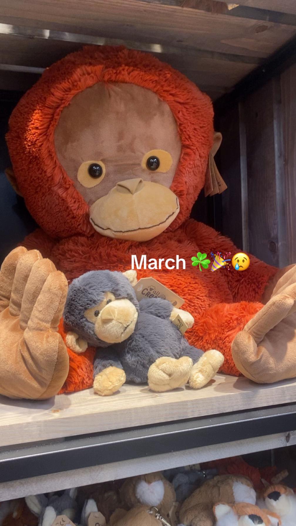 @user20924