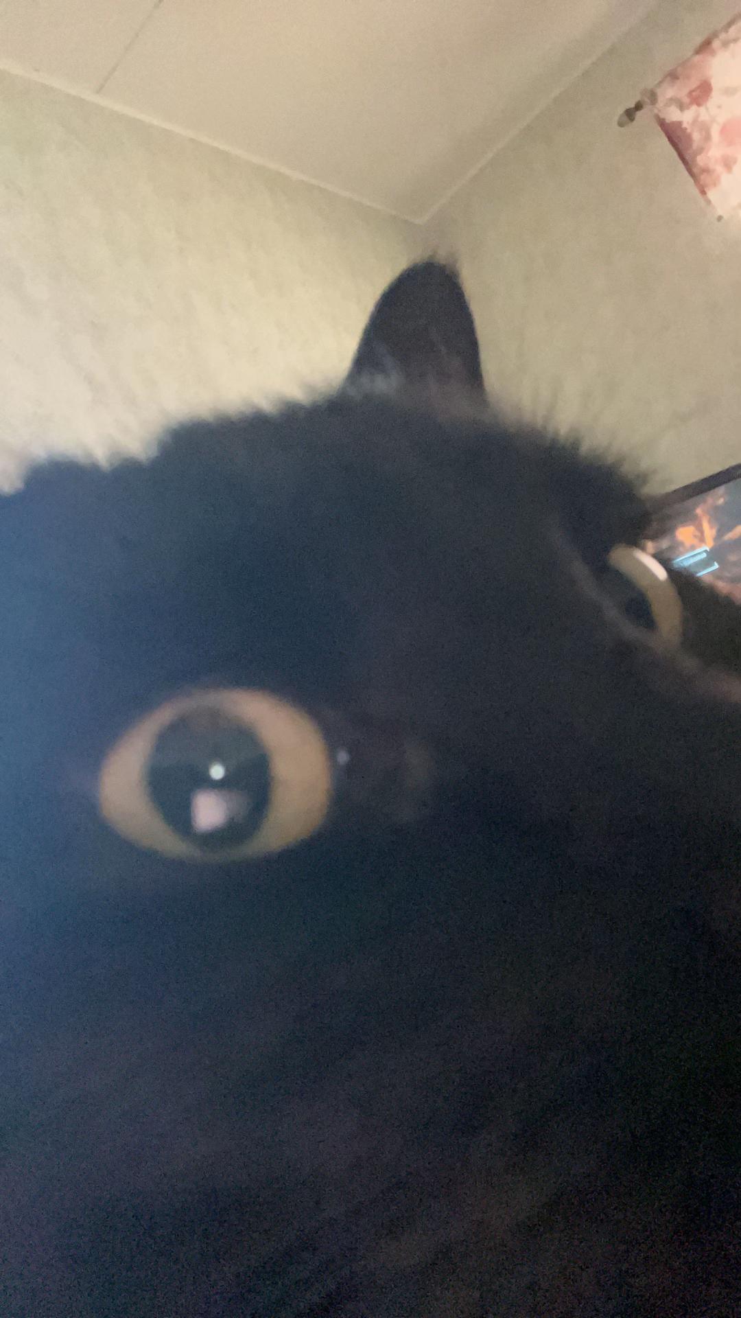 @Frxy