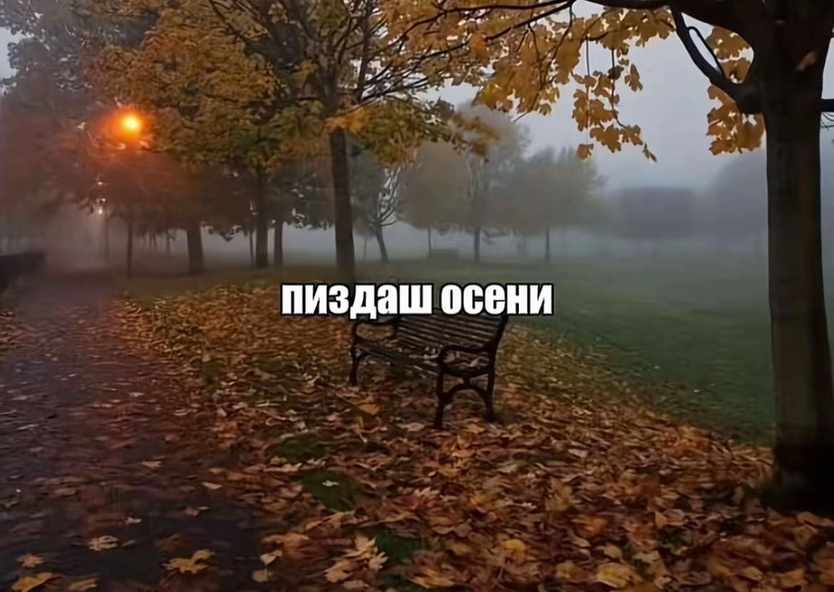 @Vavikrid<3