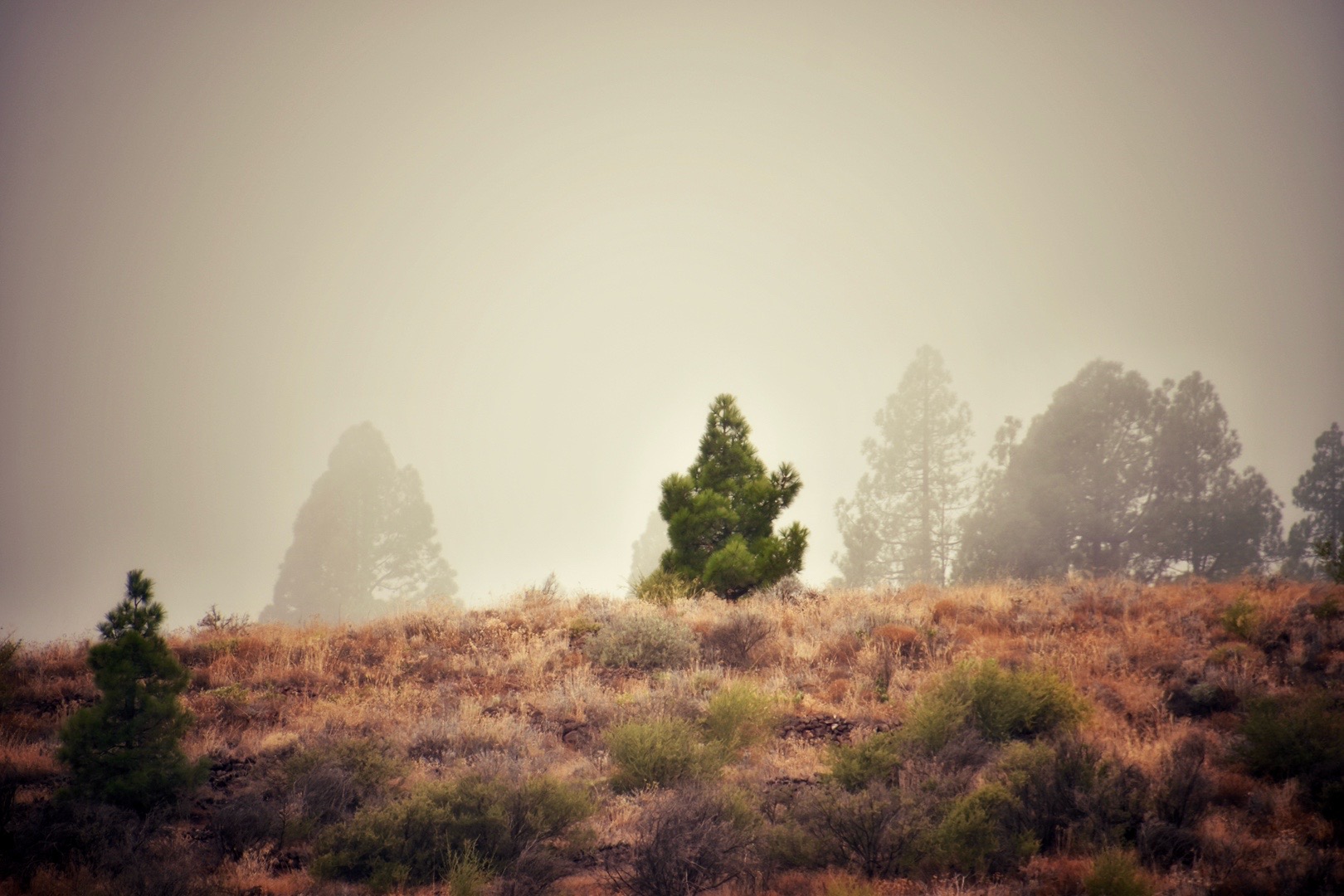 @havr-photo.picfair.com