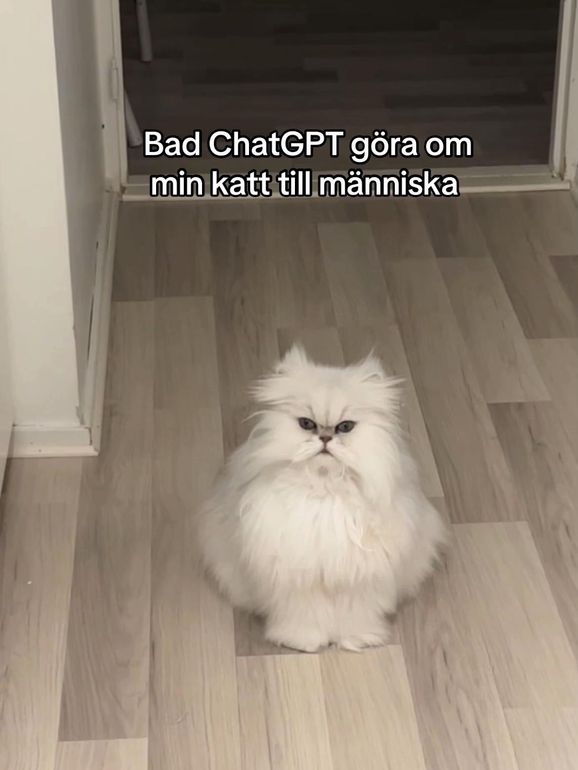 @Amanda Fransson