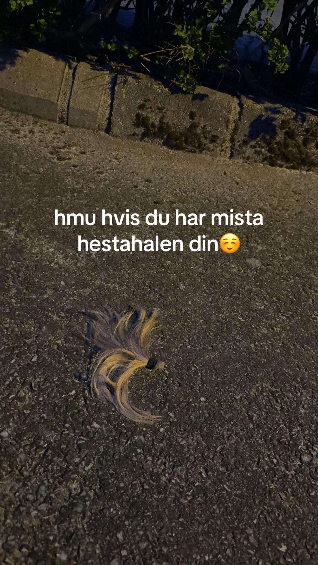 @☆ CORDELIA OLSEN ☆