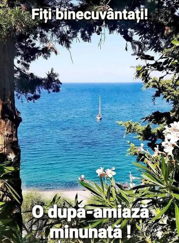 @validumitru209