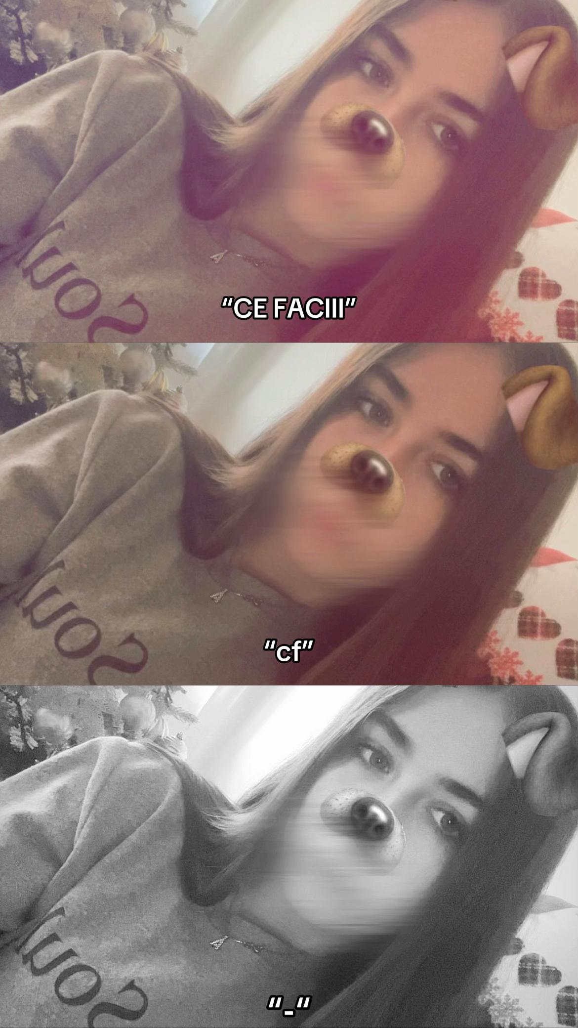 @lavibastea