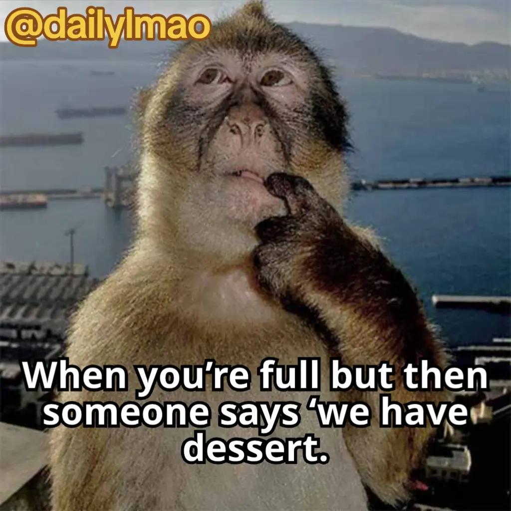 @DailyLmao