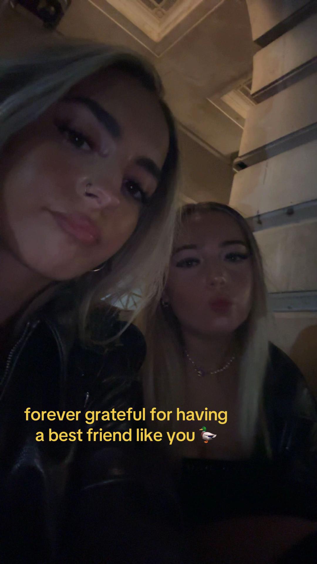 @🐅
