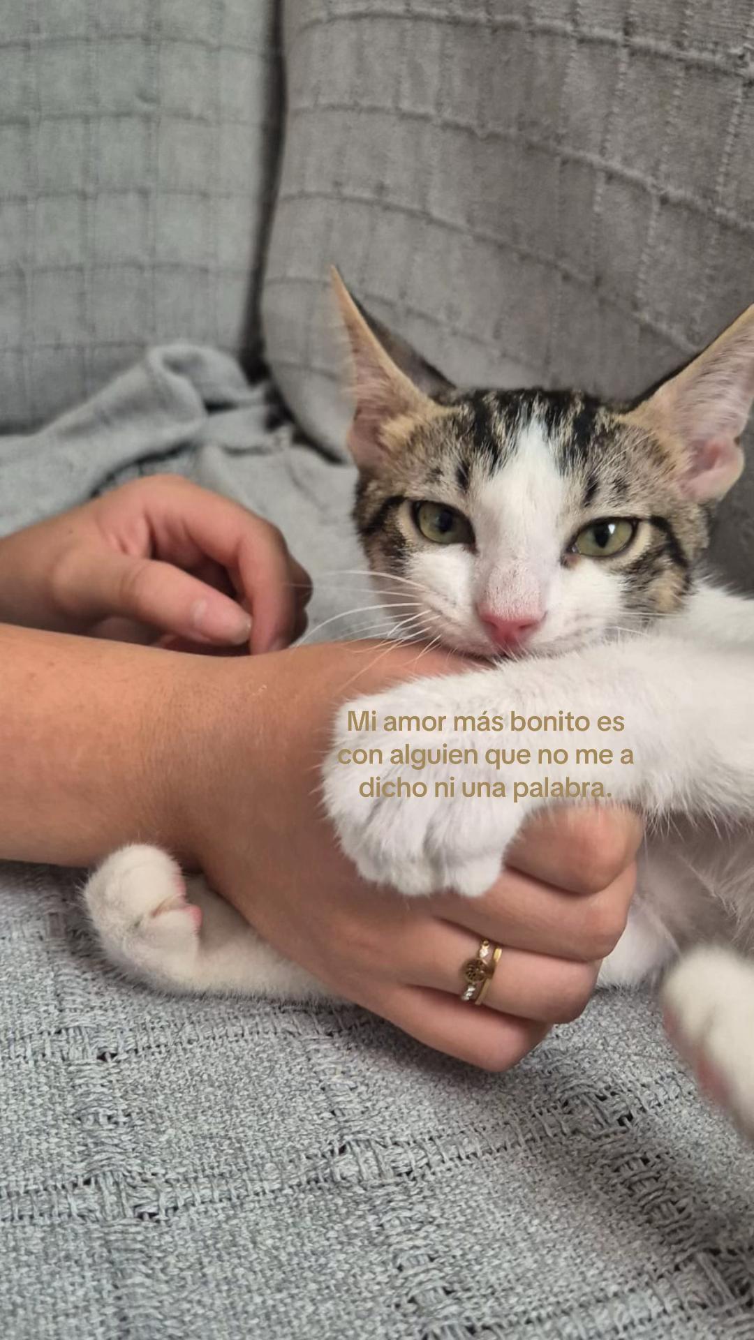 @😹noosabesssqnsoyyy