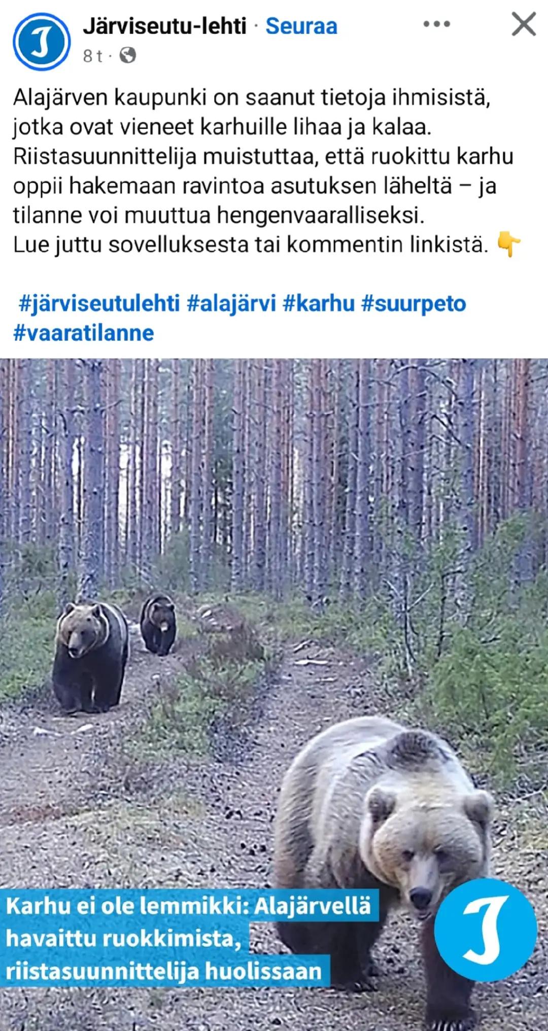 @Mikko Flanski