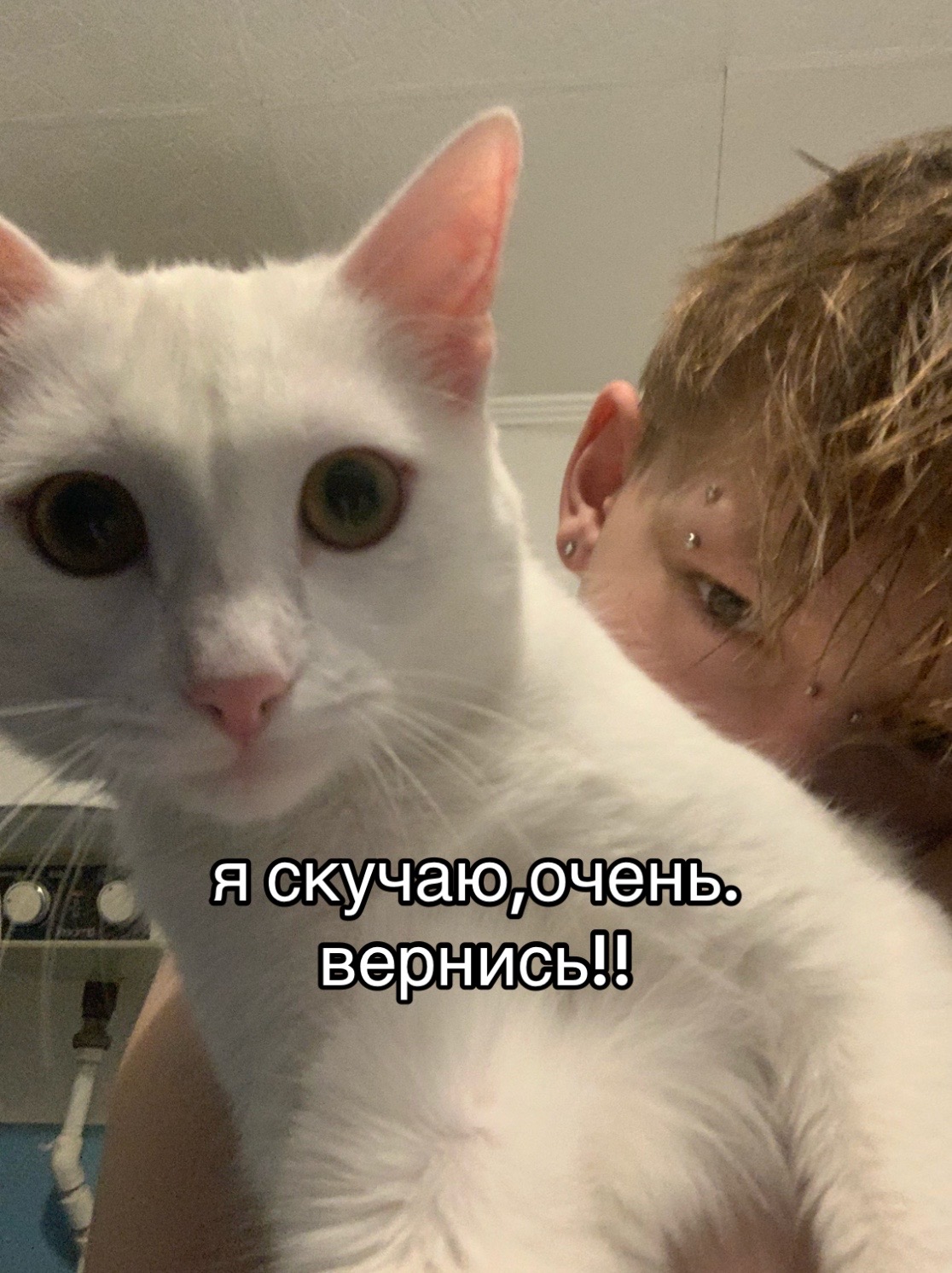 @ilya_mil.