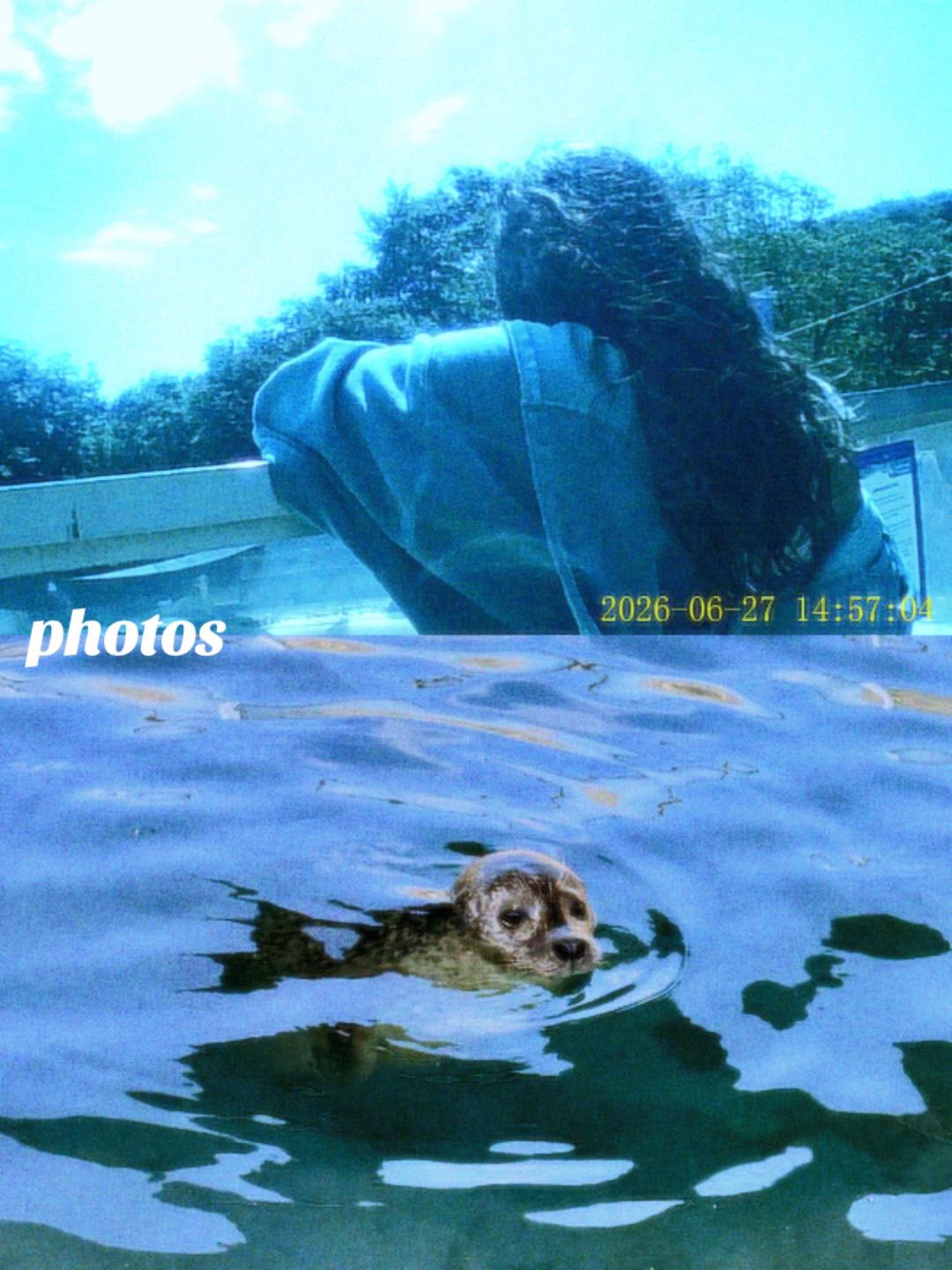 @K☥TT
