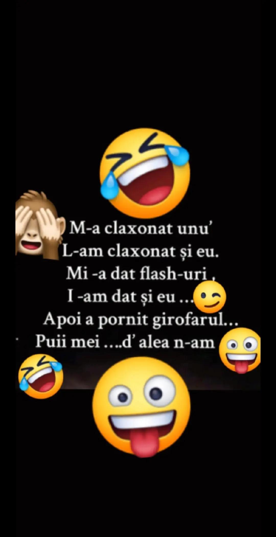@stelutaturtoi