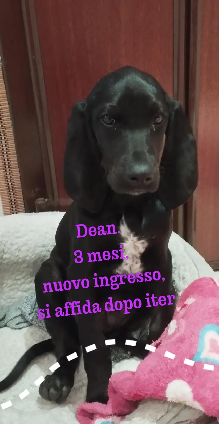 @code felici