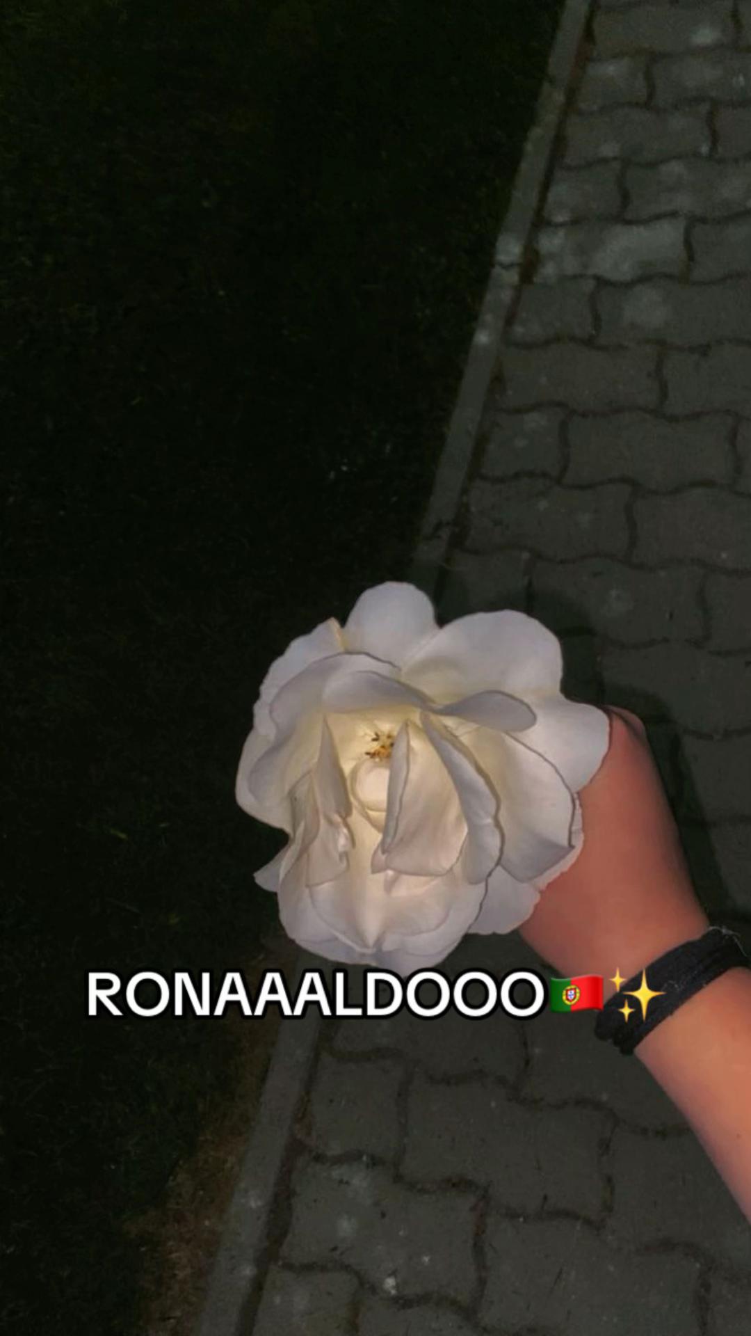 @Kov&aacute;cs Hanna