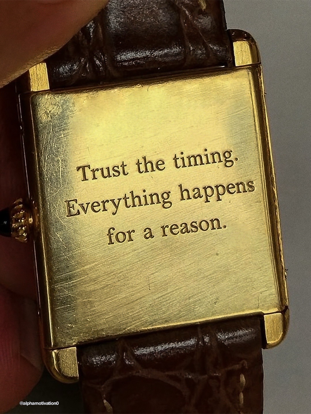 @Alpha Motivation