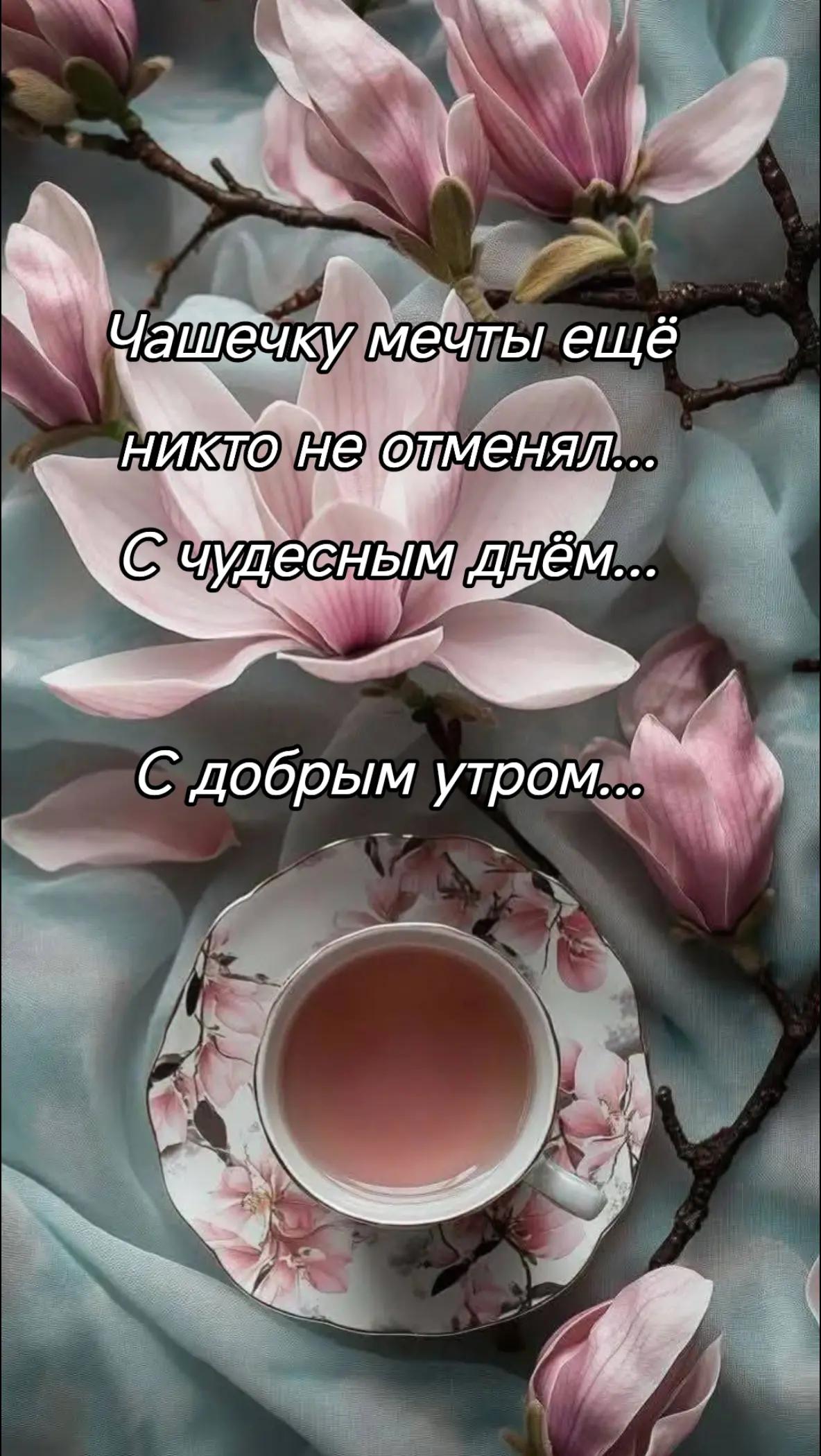 @Elza