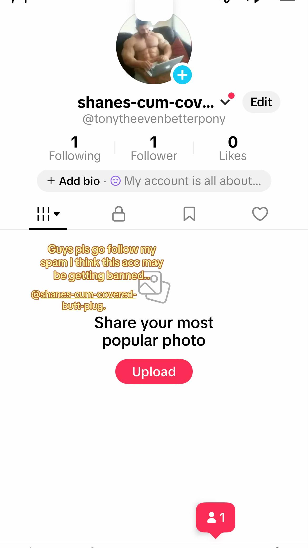 @user04984946627