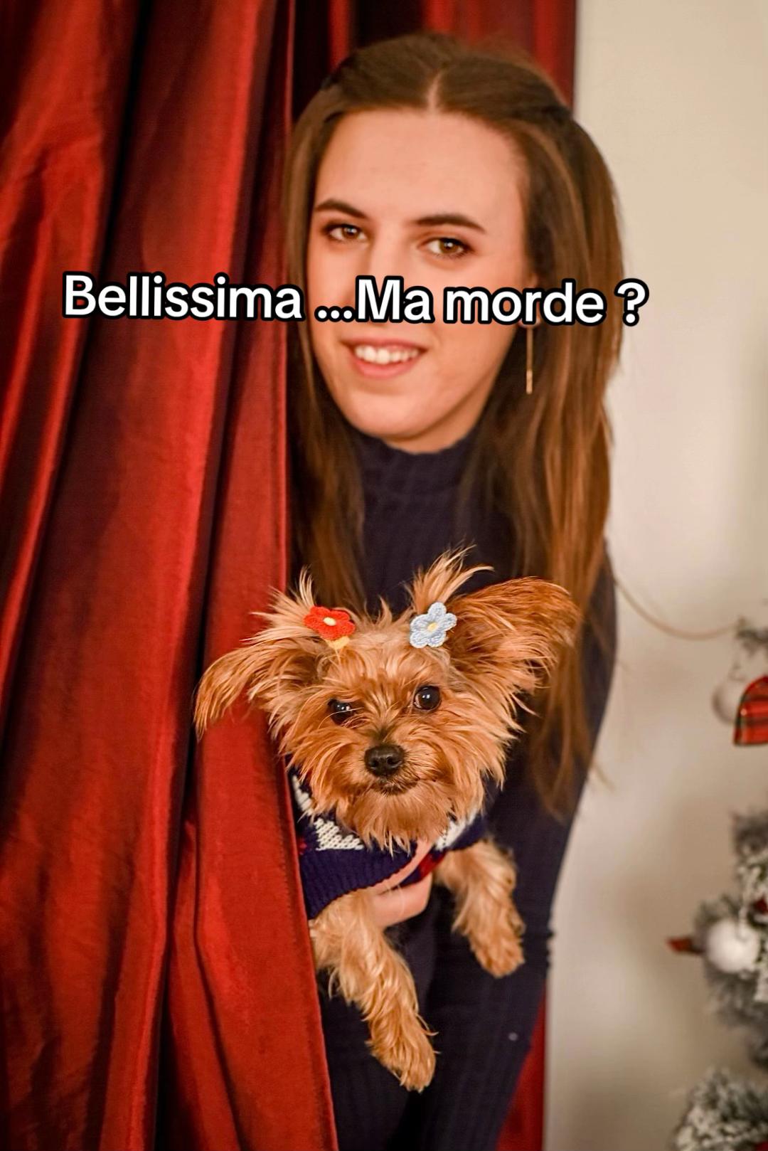 @🐶Bella&Mila🐶